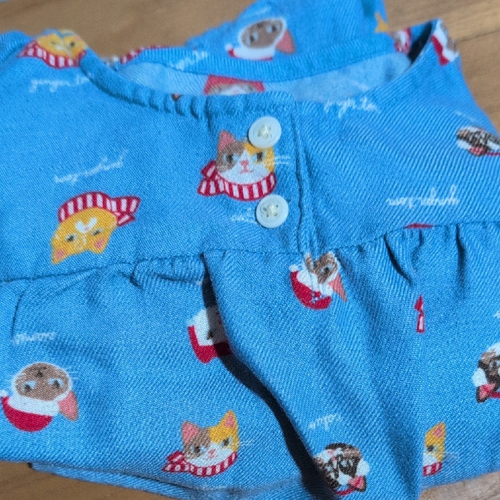 Lands' End Blue Nightgown with Cat Print